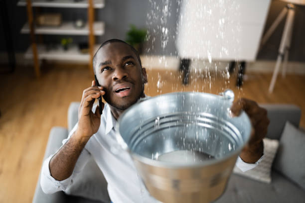 Best Water damage contractors near me  in Enetai, WA